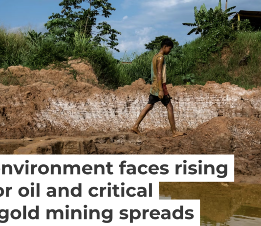 Open pit gold mines have spread across large areas of the Orinoco Mining Belt in recent years. Magda Gibelli / AFP via Getty Images
